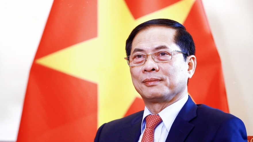 Foreign Minister Bui Thanh Son begins Singapore visit today